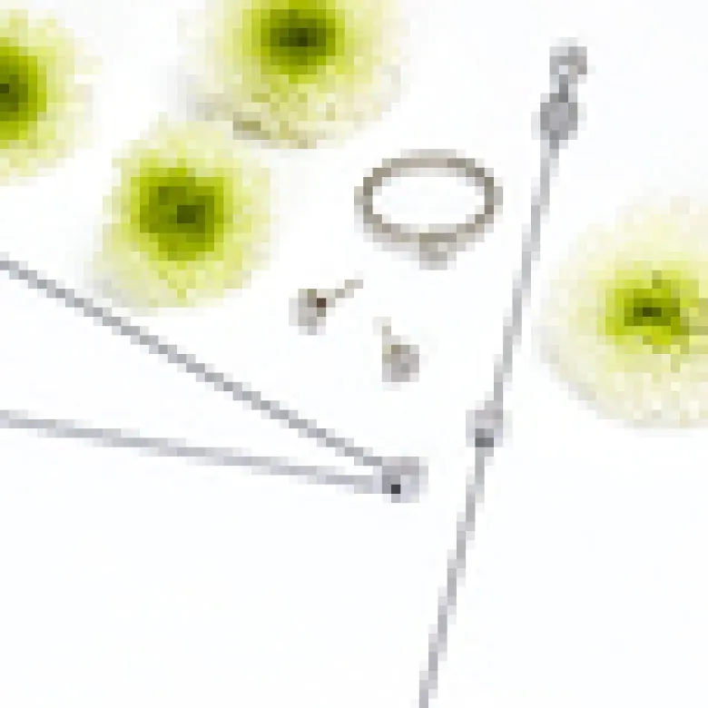 Blomdahl Örhängen Brilliance Plenary Crystal 5 mm 15‑12166‑01