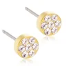 Blomdahl Örhängen Brilliance Plenary Crystal 5 mm 15‑13166‑01