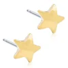 Blomdahl Örhängen Star 8 mm 15‑1322‑00