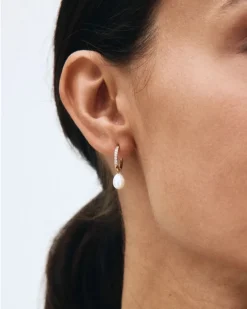 Edblad Perla Hoops Sparkle – Guld