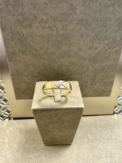 18K Guld + Vitguld Klackring – KLR010G18