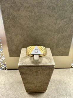 18K Guld + Vitguld Klackring – KLR011G18