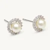 Lily And Rose Colette Pärl Stud Örhängen – Ivory (Silver) 65092