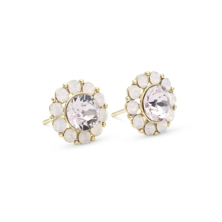 Lily And Rose Miss Sofia Örhängen – Light Amethyst (Guld) 61069