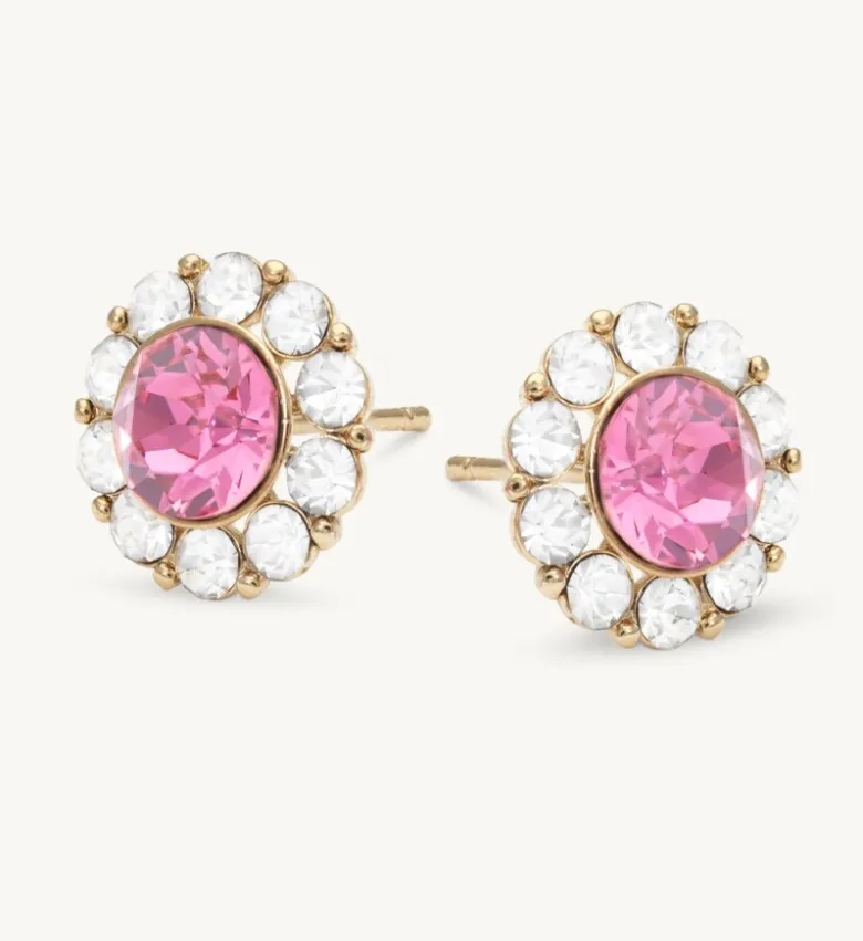 Lily And Rose Miss Sofia Örhängen – Rose (Guld) 61111