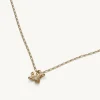 Lily and Rose Petite Eponine Halsband Guld – (241201)