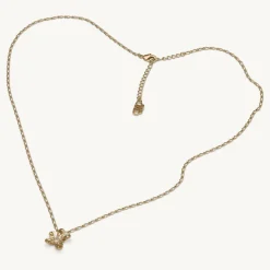 Lily and Rose Petite Eponine Halsband Guld – (241201)
