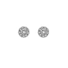 Lily And Rose Örhängen Petite Miss Sofia Crystal (Silver) 62292
