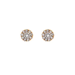 Lily And Rose Örhängen Petite Miss Sofia Crystal (Guld) 62291