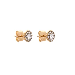 Lily And Rose Örhängen Petite Miss Sofia Crystal (Guld) 62291