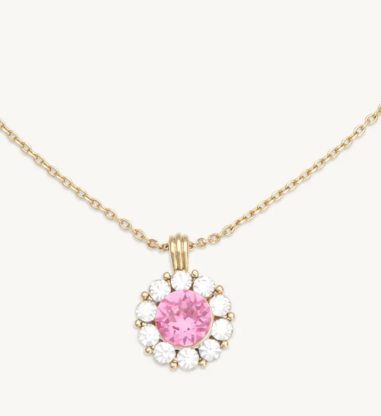 Lily And Rose Sofia Halsband – Rose (Guld) 40293
