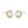 Lily And Rose Stella Örhängen – Crystal (Guld) 65022