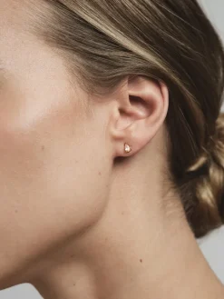 Mockberg Belle Studs Örhängen Medium Guld – Champagne