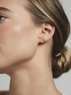 Mockberg Belle Studs Örhängen Medium Guld – Champagne
