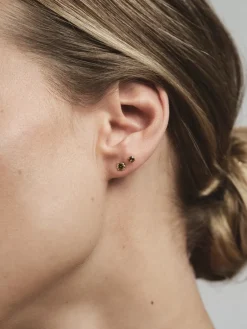 Mockberg Jolie Studs Örhängen Medium Guld – Coffee