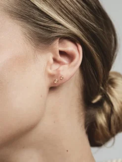 Mockberg Jolie Studs Örhängen Medium Guld – Champagne