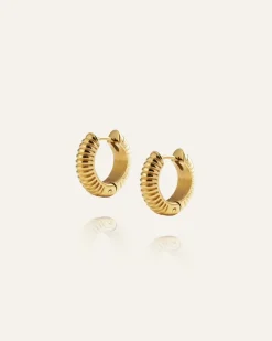 Mockberg Ribbed Örhängen Medium Guld