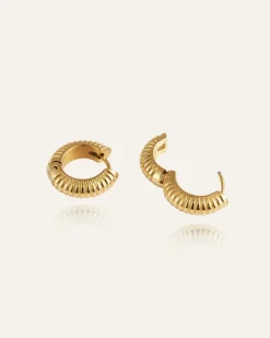 Mockberg Ribbed Örhängen Medium Guld