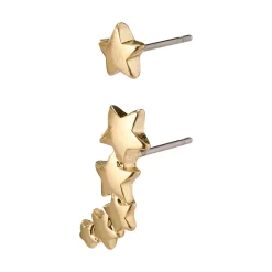PILGRIM Ava Star Örhängen Guld 601312053