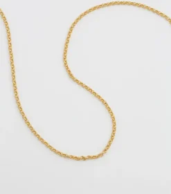 Syster P Beloved Lång Rolo Kedja Guld