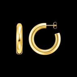 Thomas Sabo Örhängen Guld CR636-413-39