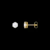 Thomas Sabo Örhängen Guld H2301-414-14