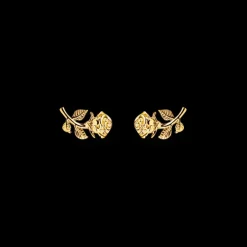 Thomas Sabo Örhängen Guld H2314-413-39