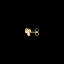 Thomas Sabo Örhängen Guld H2314-413-39