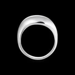 Thomas Sabo Ring Silver TR2473-001-21