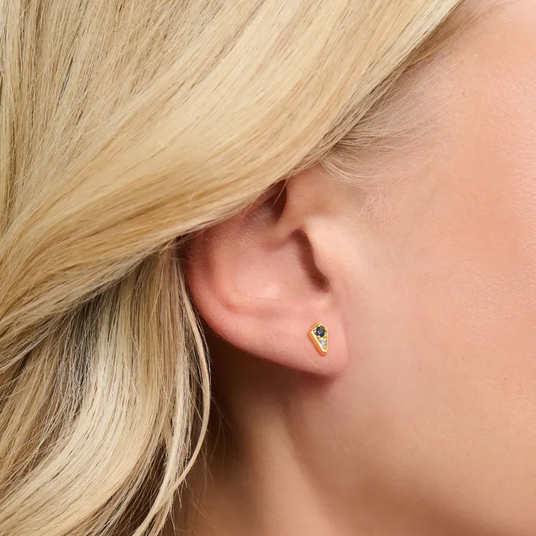 Thomas Sabo Stiftörhängen Royalty med stenar guld – H2210-960-1